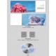 bigbang taeyang white night 3rd album random ver cd photo book photo card