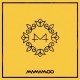 mamamoo yellow flower 6th mini album cd booklet photo card