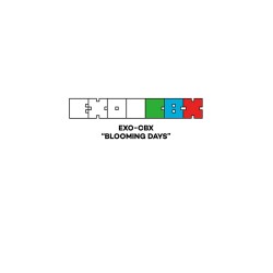 EXO CBX BLOOMING DAYS 2 Zestaw wersji