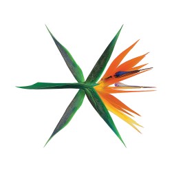 exo the war 4-й альбом korean random ver