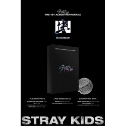 stray kids in life 1st regular album repackage limited