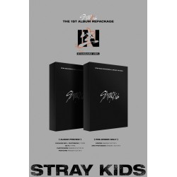 stray kids in life 1st regular album repackage standard