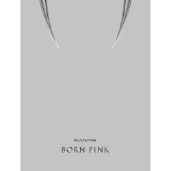 blackpink 2nd album born pink box set gray ver
