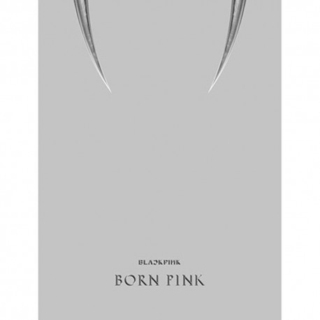 blackpink 2nd album born pink box set gray ver